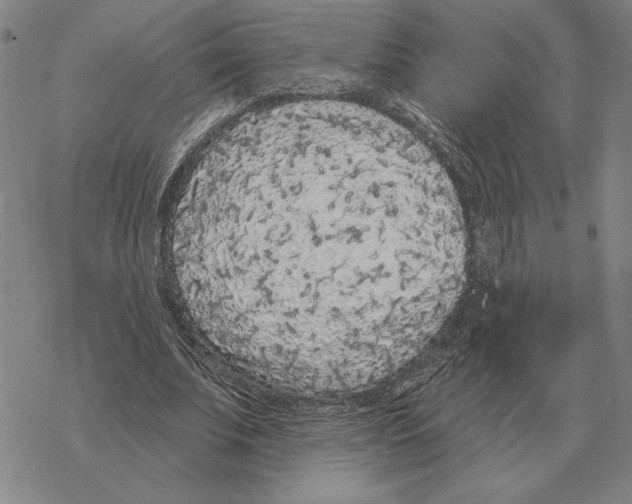 X0000069380679200606091651