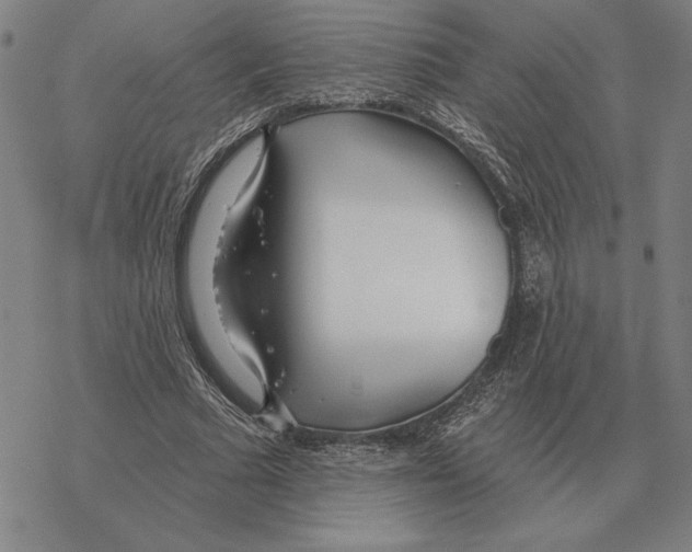 X0000069380681200606091651