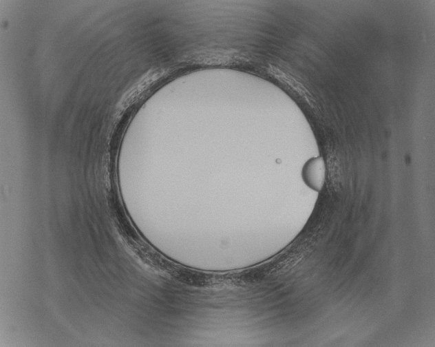 X0000069380682200606091651