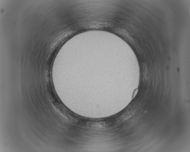 X0000069380683200606091651