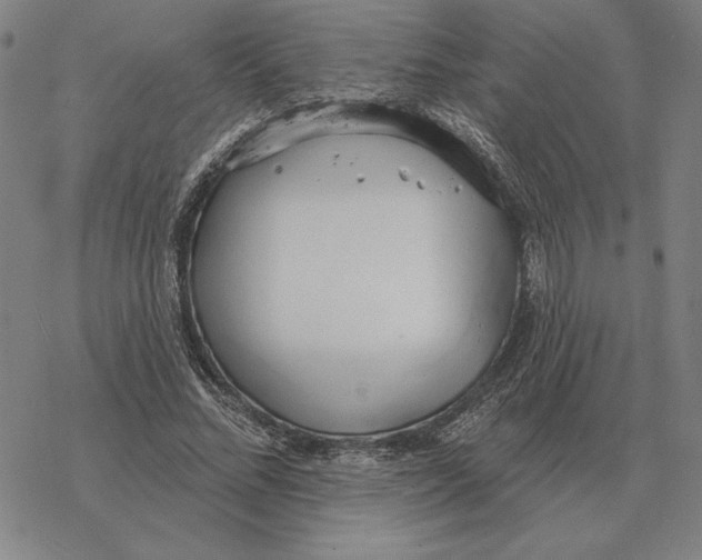 X0000069380684200606091651