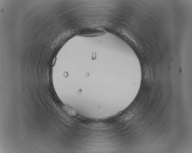 X0000069380685200606091651