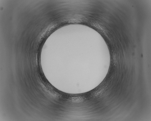 X0000069380686200606091651