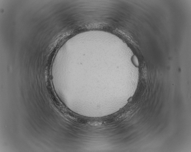 X0000069380687200606091651