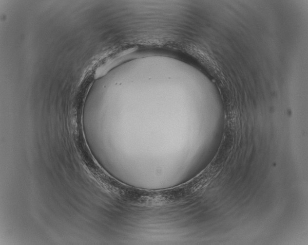 X0000069380688200606091651