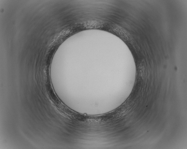 X0000069380690200606091651