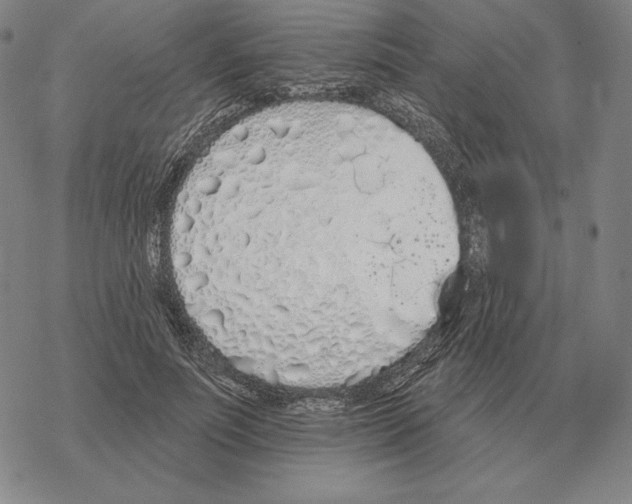 X0000069380691200606091651