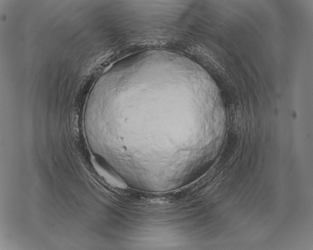 X0000069380692200606091651