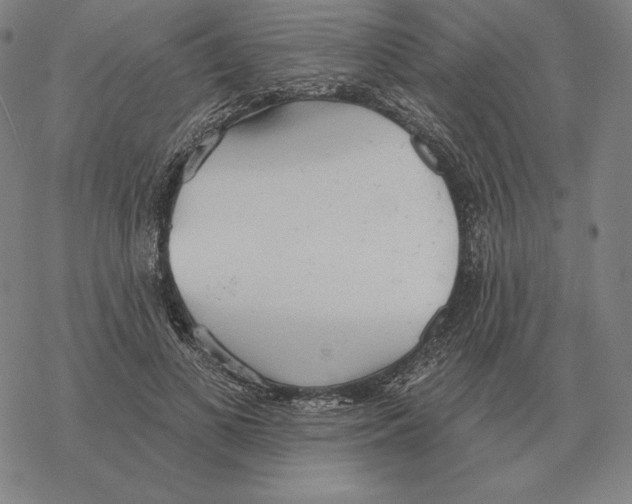 X0000069380693200606091651