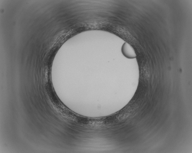 X0000069380694200606091651