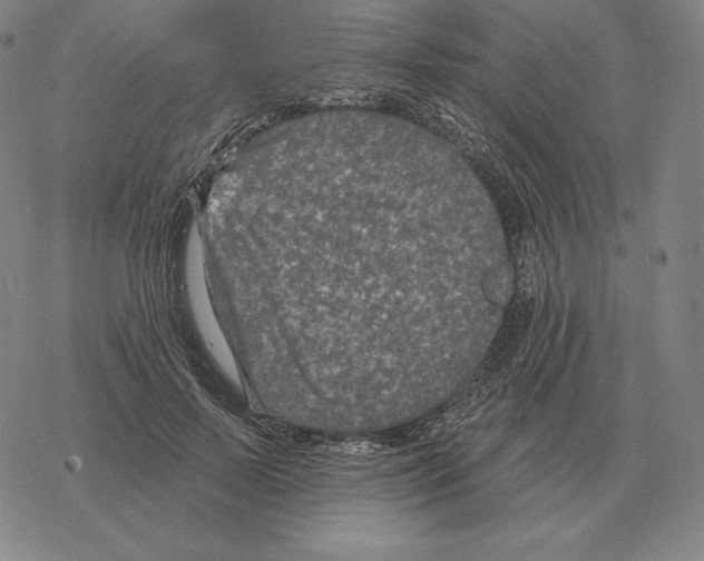 X0000069380695200606091651