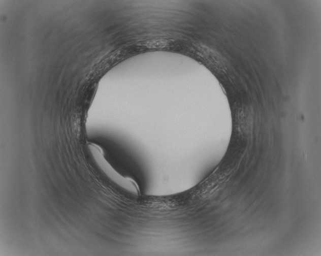 X0000069380697200606091651