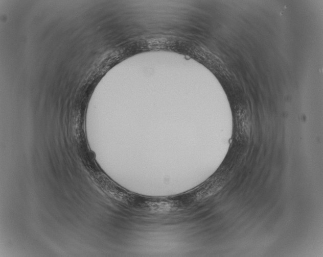 X0000069380698200606091651