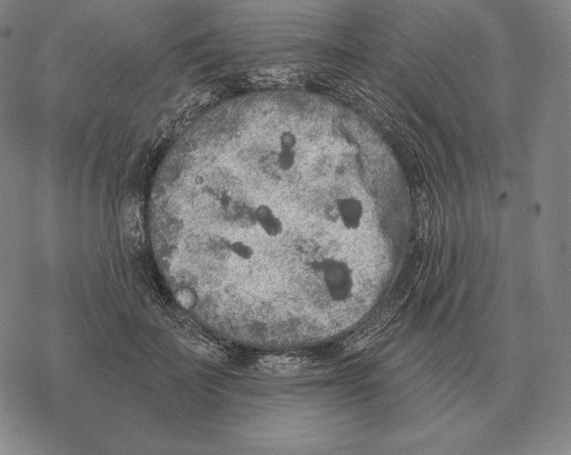 X0000069380699200606091651