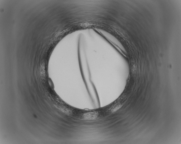 X0000069380700200606091651