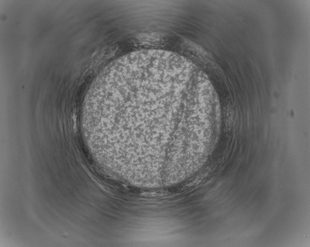 X0000069380703200606091651