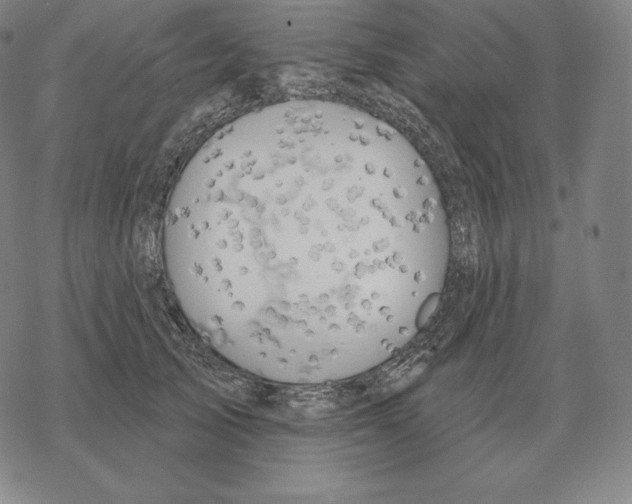 X0000069380705200606091651