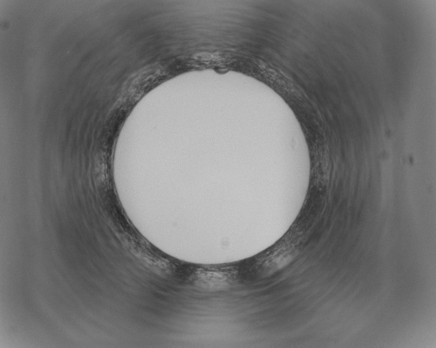 X0000069380706200606091651