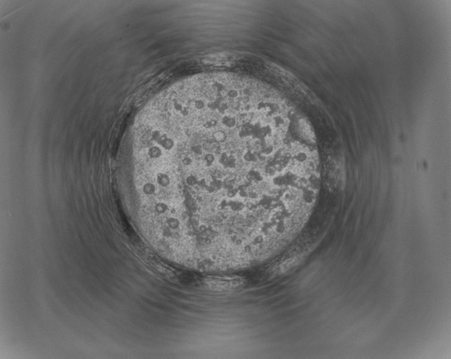 X0000069380707200606091651