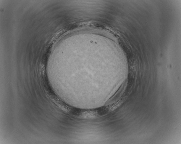 X0000069380708200606091651