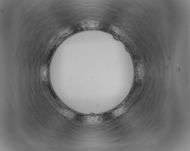 X0000069380709200606091651