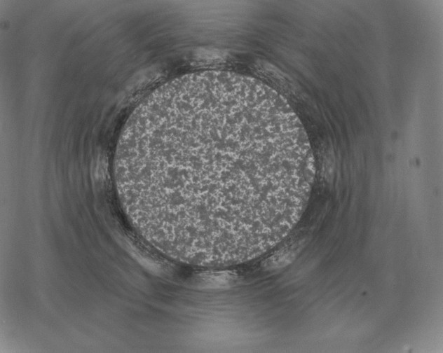 X0000069380711200606091651