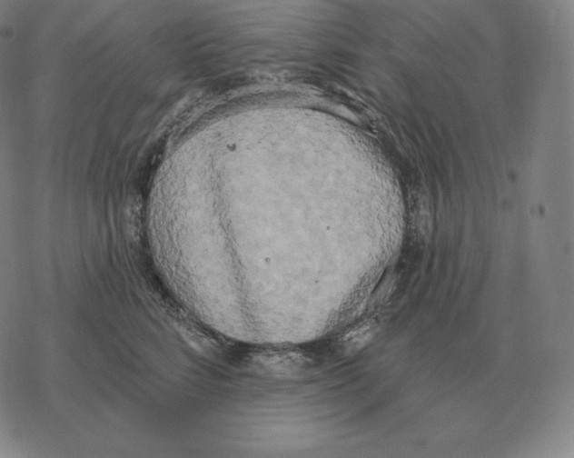 X0000069380712200606091651