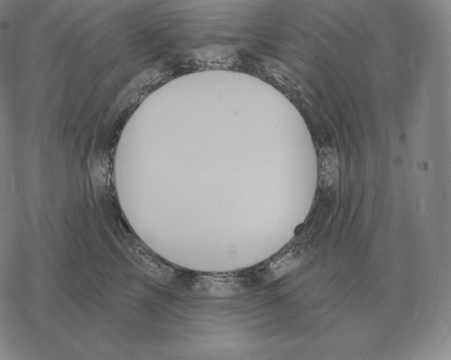 X0000069380713200606091651