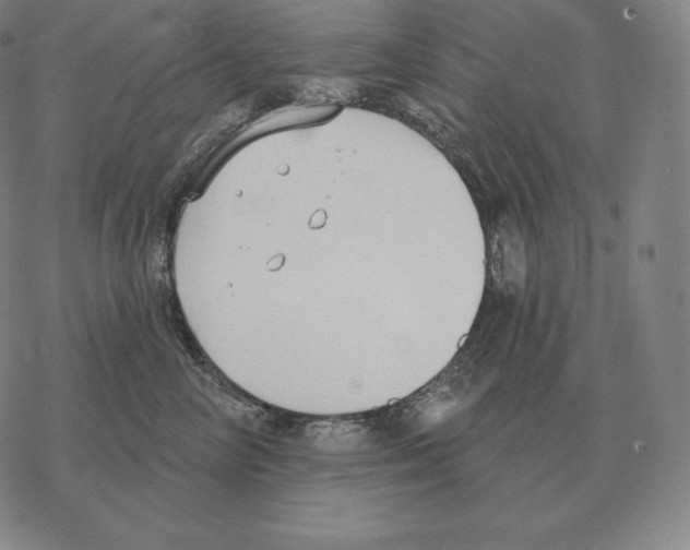 X0000069380714200606091651