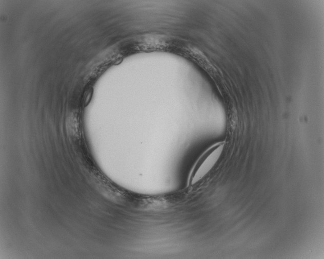 X0000069380715200606091651