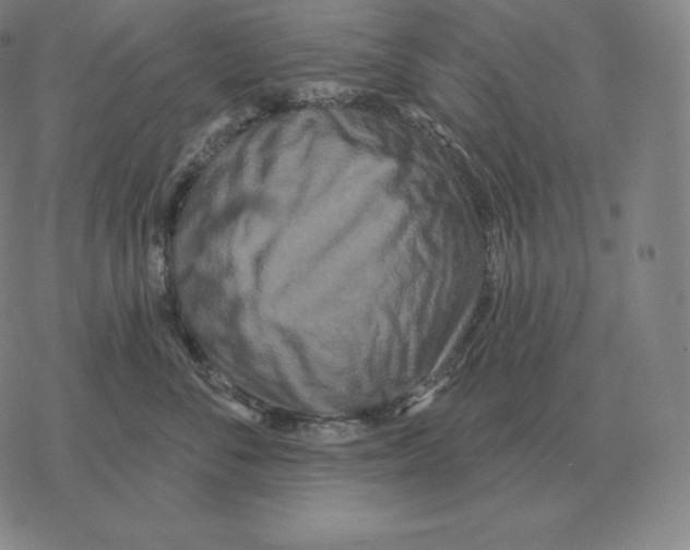 X0000069380716200606091651