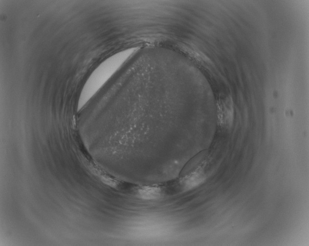 X0000069380718200606091651