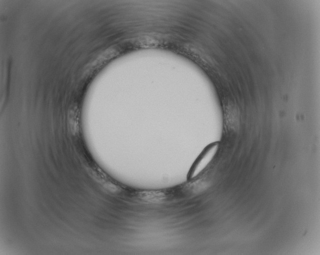 X0000069380719200606091651