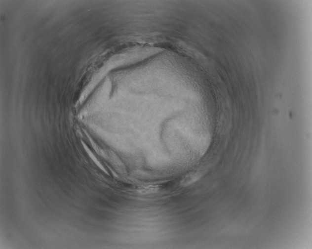 X0000069380720200606091651