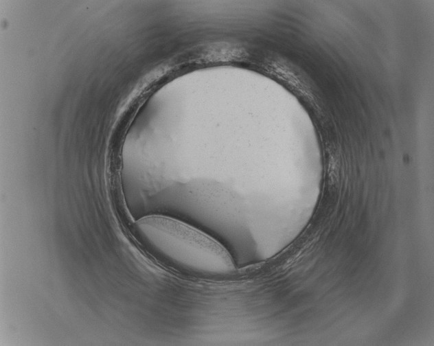 X0000069380722200606091650