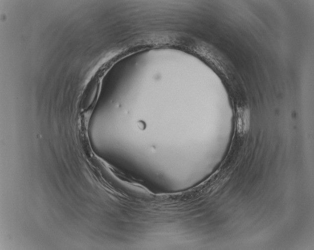 X0000069380723200606091650