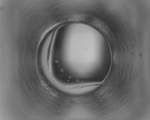 X0000069380724200606091650