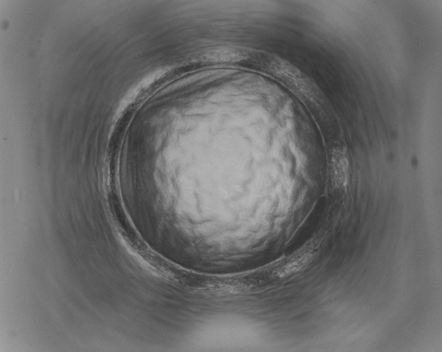 X0000069380726200606091650