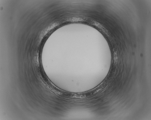 X0000069380727200606091650