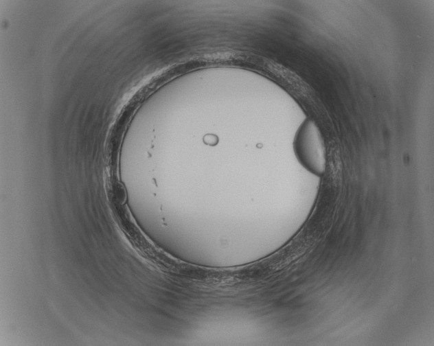 X0000069380728200606091650