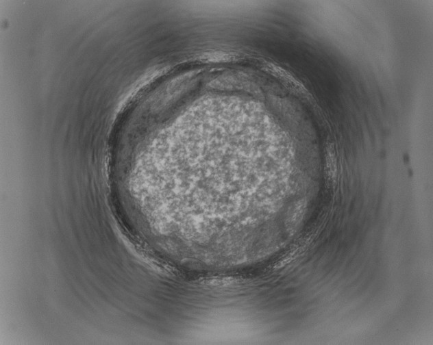 X0000069380730200606091650