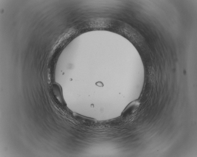 X0000069380731200606091650