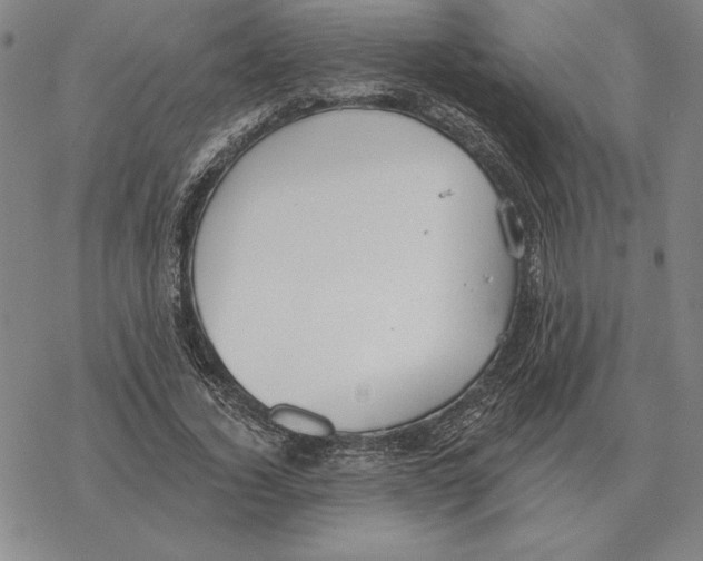 X0000069380732200606091650