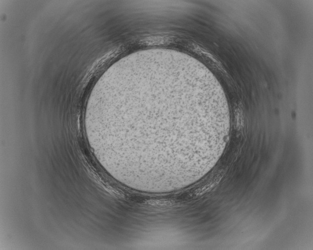 X0000069380733200606091650