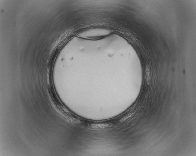 X0000069380734200606091650