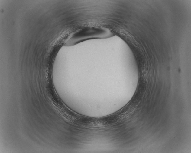 X0000069380735200606091650