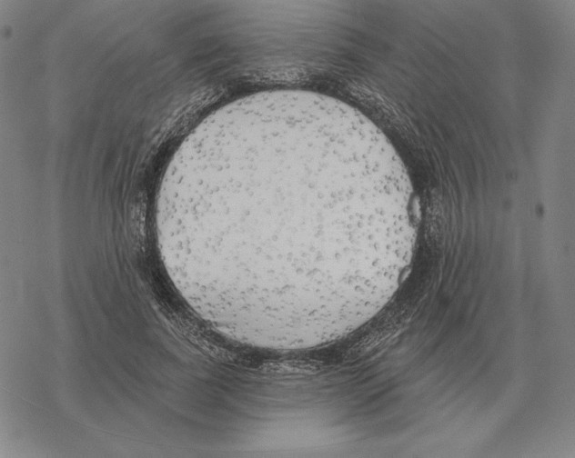 X0000069380739200606091650