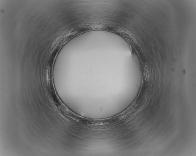 X0000069380740200606091650