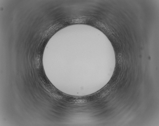 X0000069380741200606091650