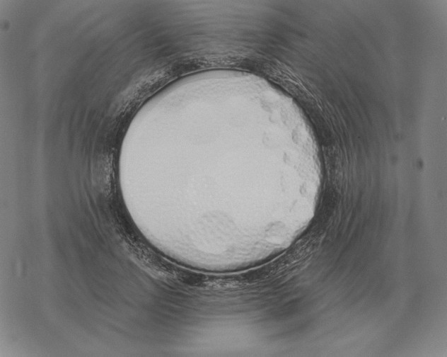 X0000069380742200606091650